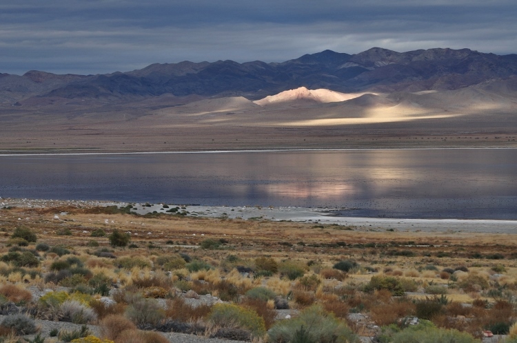 lake scene